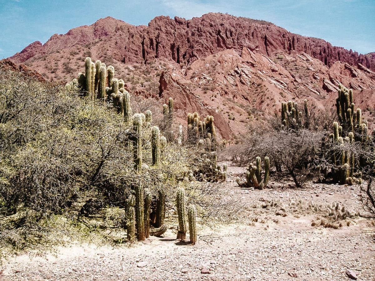 Tupiza is een van de bezienswaardigheden in het zuiden van Bolivia en laat een hele andere kant van het land zien.