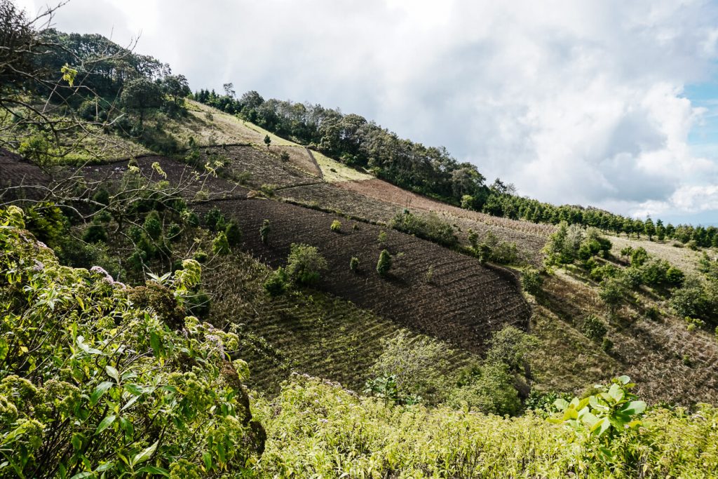 The Acatenango volcano hike in Guatemala | Everything you want to know!