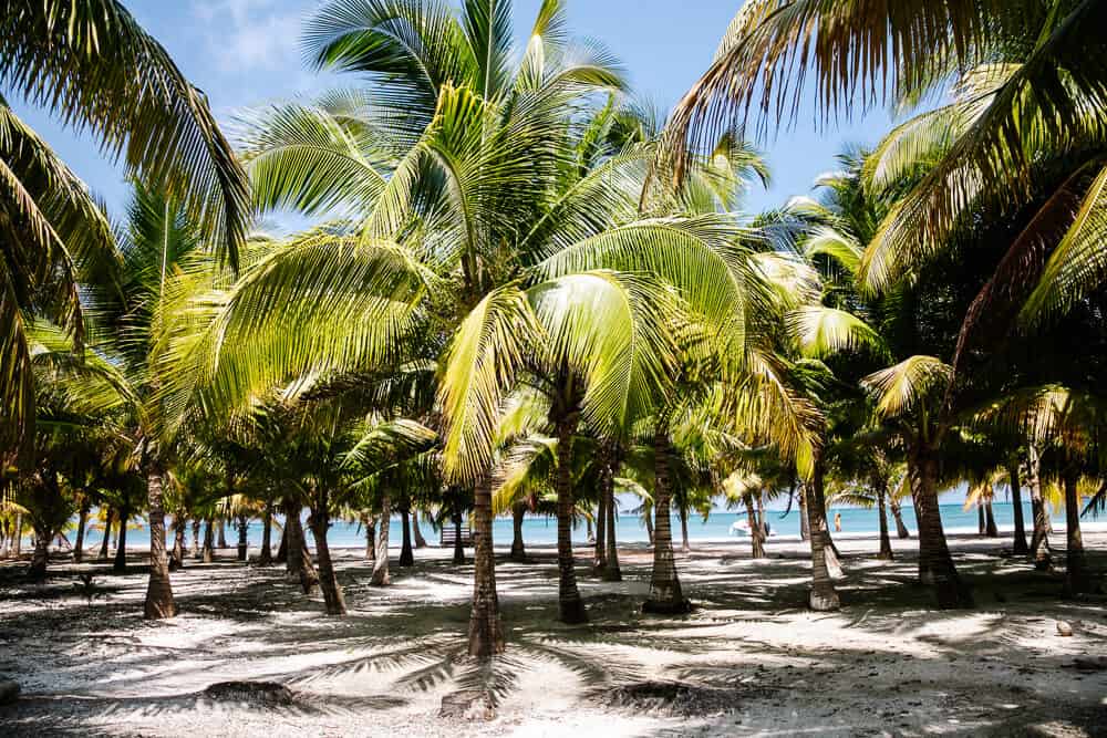 Langs de kust van Belize zijn talloze kleine paradijselijke eilandjes te vinden.