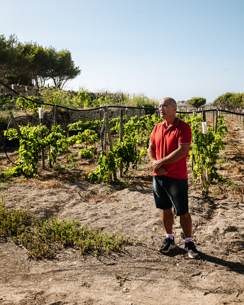 Winery Tal-Massar was founded in 1923 by Gozitan Carmelo Hili, who returned to Gozo island from America, and is now in the hands of the third generation.