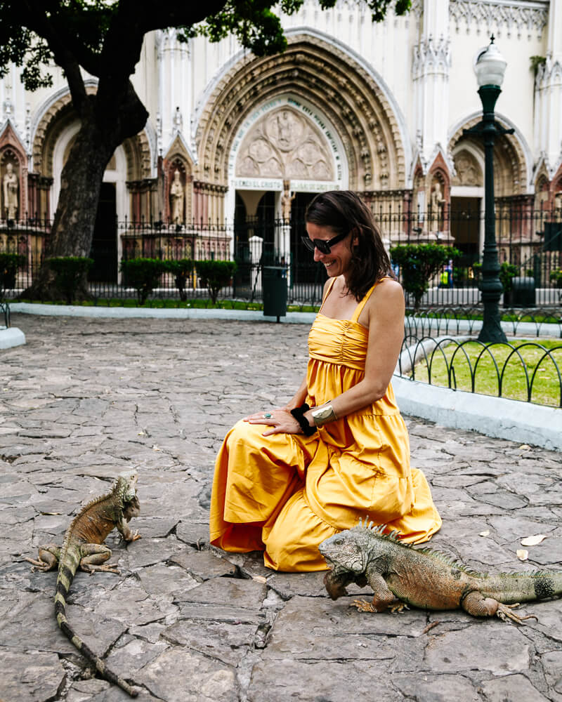 Iguana park in Guayaquil.