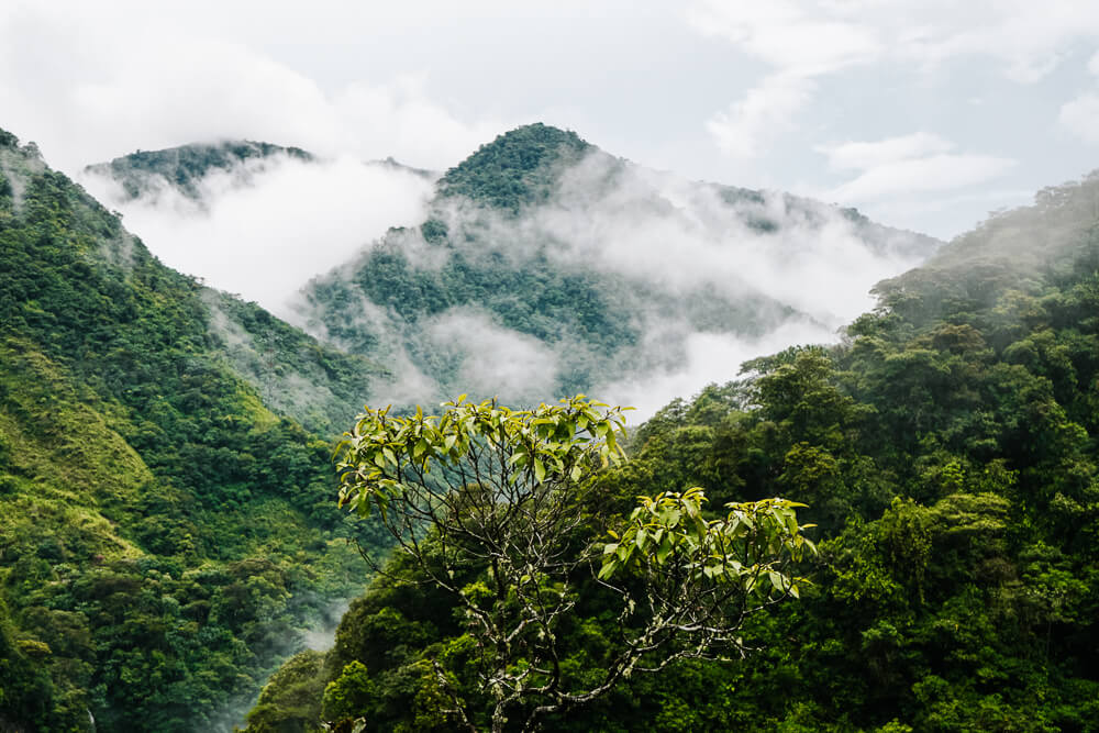 La Ruta de Las Cascadas leads you from Baños to Puyo along sixty small and larger waterfalls.