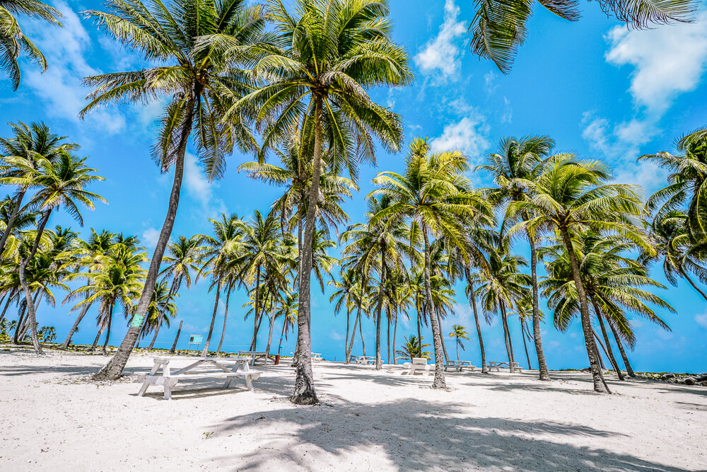 Placencia is een schiereiland in Belize van 27 kilometer lang en 25 kilometer breed. Het is al jarenlang een van de populaire bezienswaardigheden van Belize vanwege de perfecte stranden, de gekleurde huisjes en goede keuken.