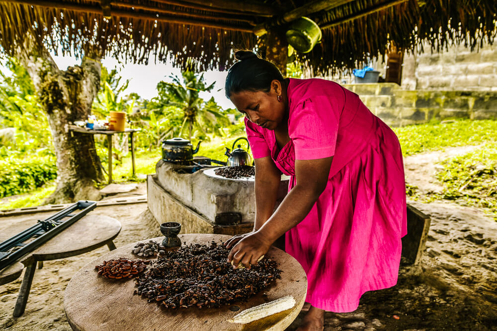 De provincie Toledo staat elk jaar in mei volledig in het teken van chocolade, als eerbetoon aan deze cacaovrucht. 