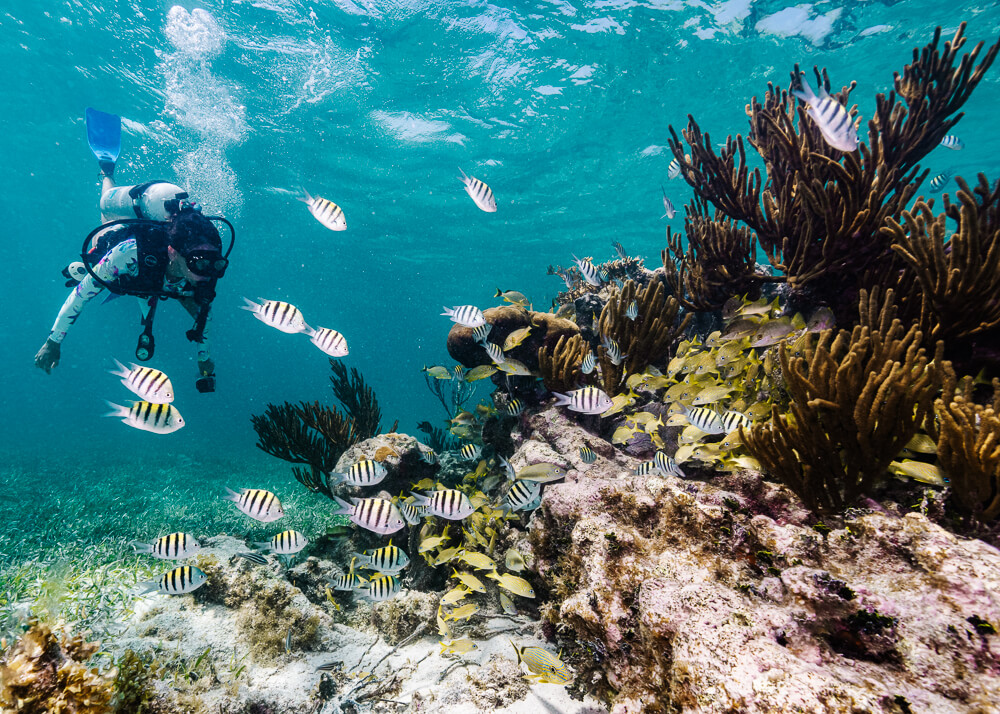 Het Belize Barrier Reef is een van de meest populaire bezienswaardigheden van het land.