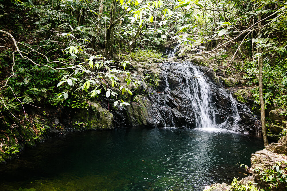 Mayflower Bocawina Nationaal Park bestaat uit 7000 hectare natuur en ligt in Stann Creek district, tussen de Maya Mountains en de kust, in het zuiden van Belize. 