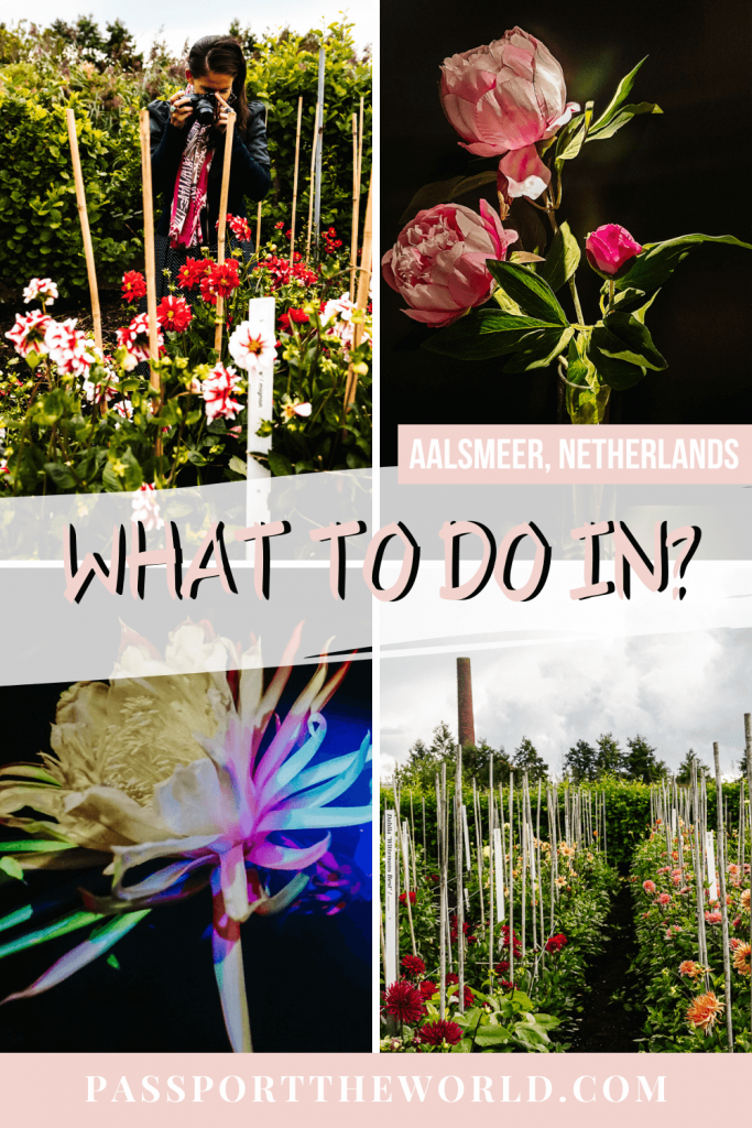 Discover the city of flowers in the Netherlands: Things to do in Aalsmeer - a full guide