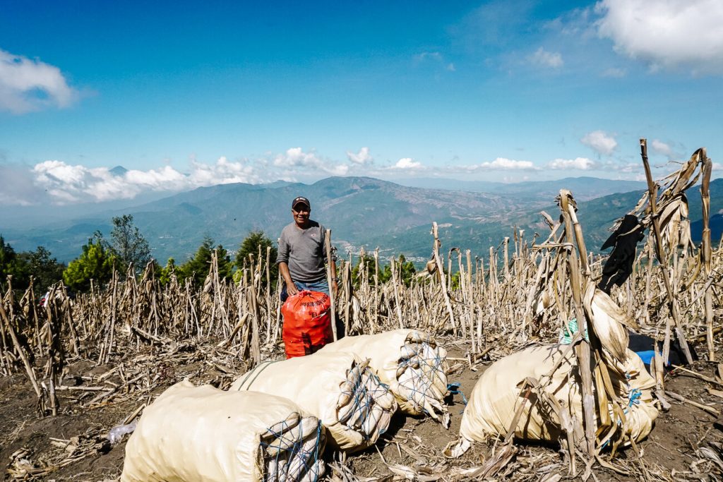 farmers at work in Guatemala