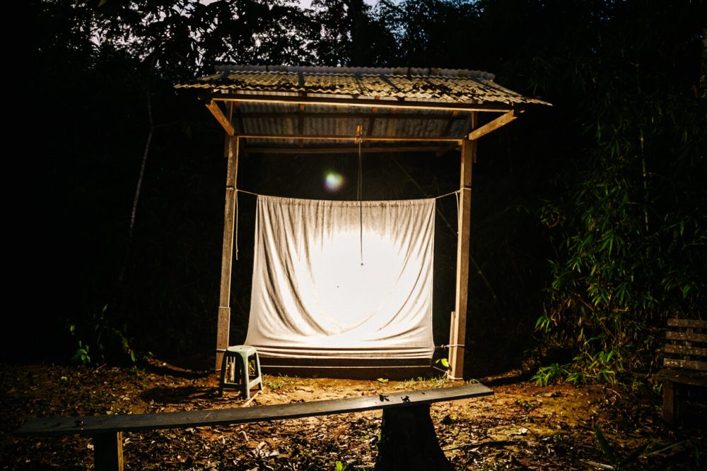 Insect trap by Wired Amazon and Rainforest Expeditions in jungle of Peru