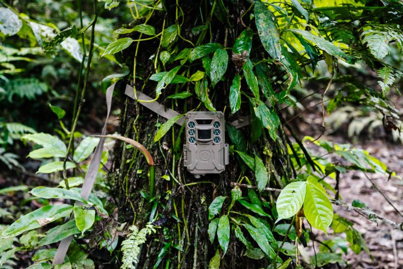 Camera of Wired Amazon and Rainforest Expeditions in jungle.