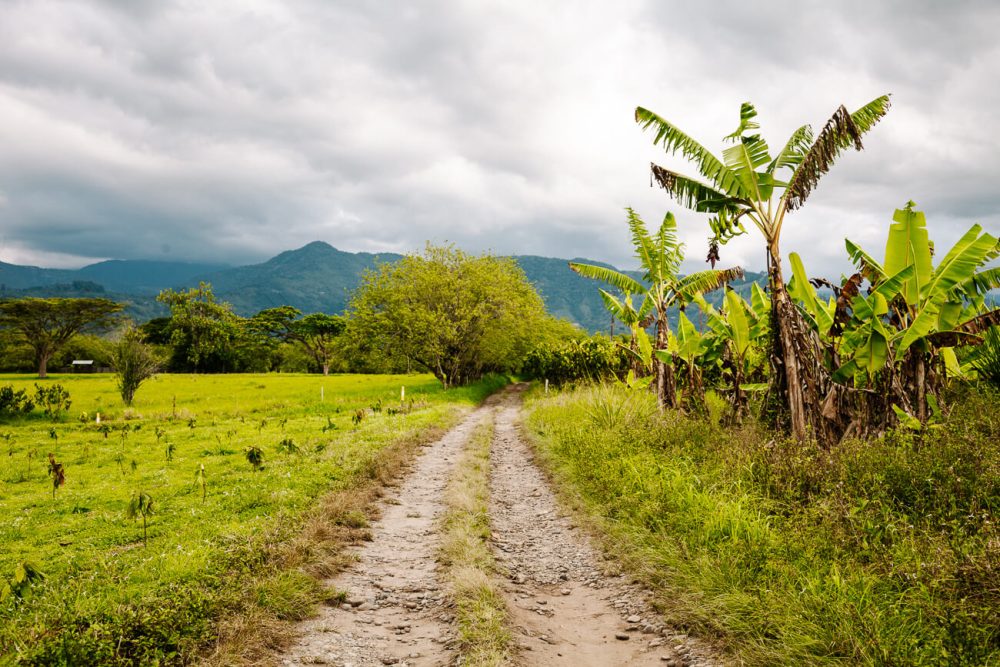 road to Hacienda Bambusa Armenia Colombia, a former finca transformed into boutique hotel