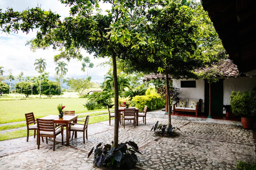 terrace of Bambusa hotel