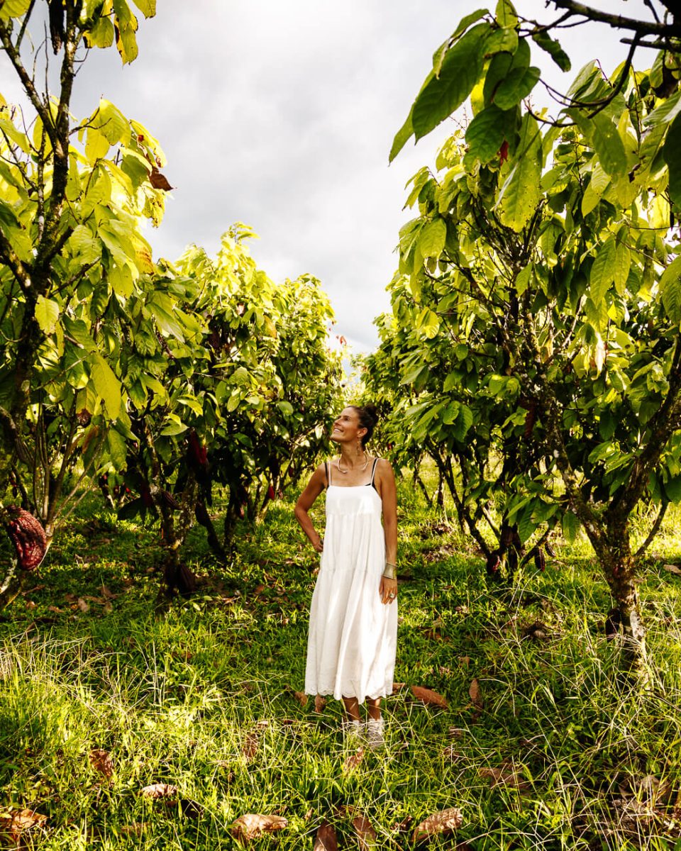 Deborah between cacoa trees in Colombia coffee region