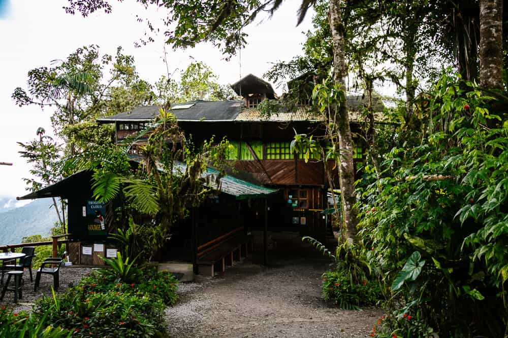 Discover Bellavista Cloud Forest Lodge Ecuador, a comfortable retreat and a perfect base to explore Ecuador's cloud forest.