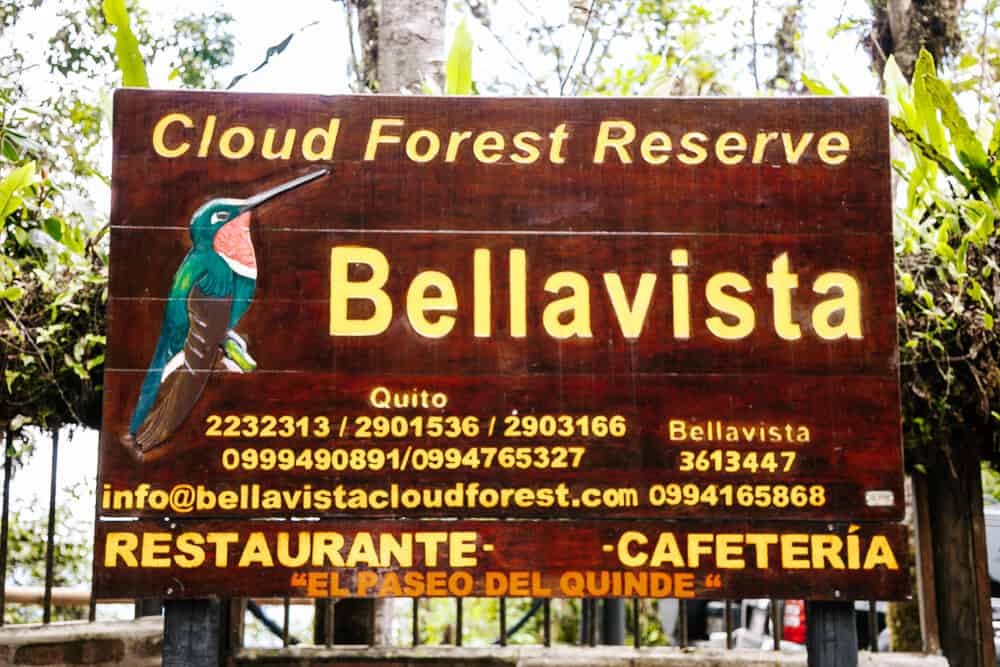 Discover Bellavista Cloud Forest Lodge Ecuador, a comfortable retreat and a perfect base to explore Ecuador's cloud forest.