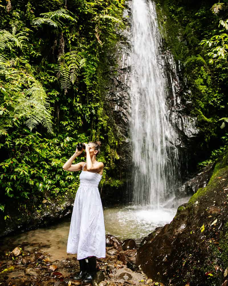 Bellavista Cloud Forest in Ecuador has ten kilometers of hiking trails, divided into twenty routes leading to waterfalls.