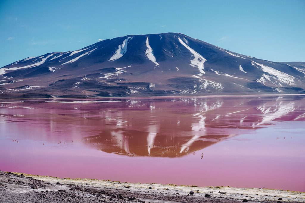 The journey through the Eduardo Avaroa National Park in Bolivia is almost surreal and is one of the top things to do in the country. 