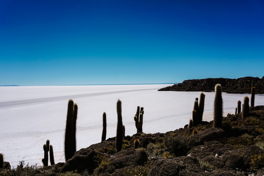 Best time to visit Bolivia salt flats