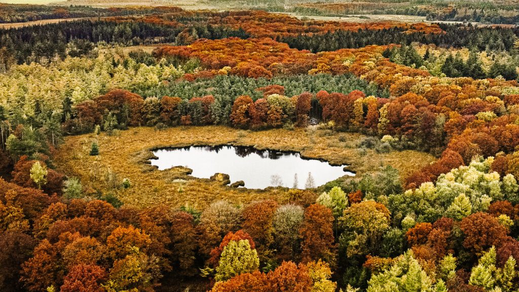 cabiner trekking in Drenthe, In National Park the Drentsche Aa and around the Dwingelderveld, there are Cabiners, sustainable and completely self-sufficient cabinds, which can only be reached by foot, one of the best things to do in Drenthe Netherlands if you like to go on an adventure