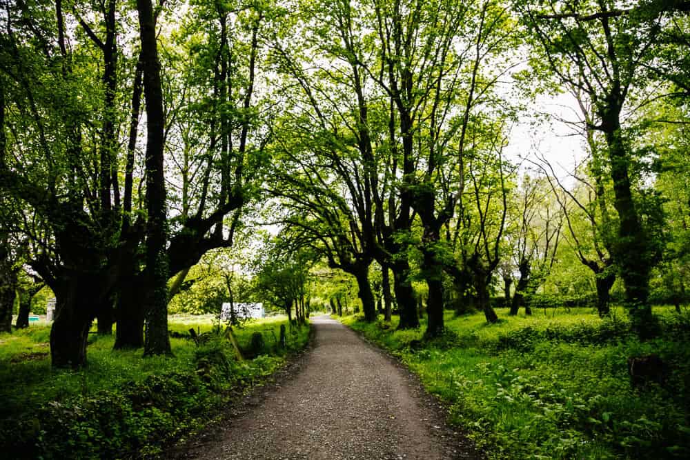 The last 100 km to Santiago de Compostela of the Camino Frances is a route you can complete in five days, walking an average of 24 kilometers per day.