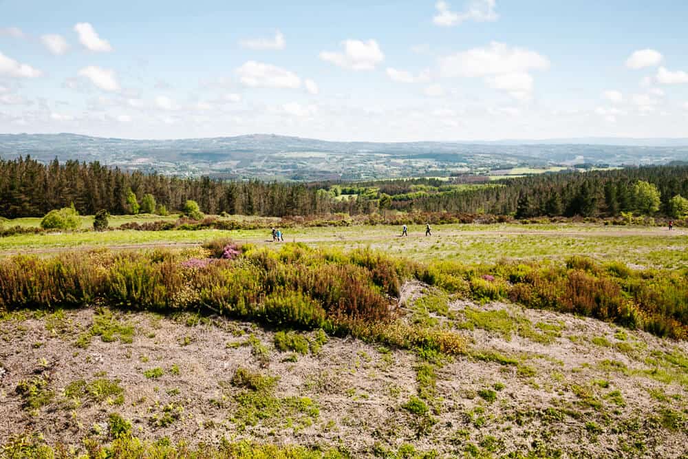 Camino de Santiago route –  Last 100 km on the Camino Frances to Santiago de Compostela