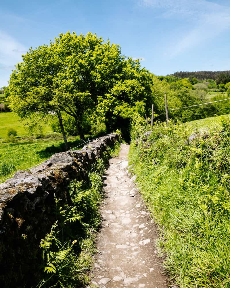 Trails of the Camino Frances.