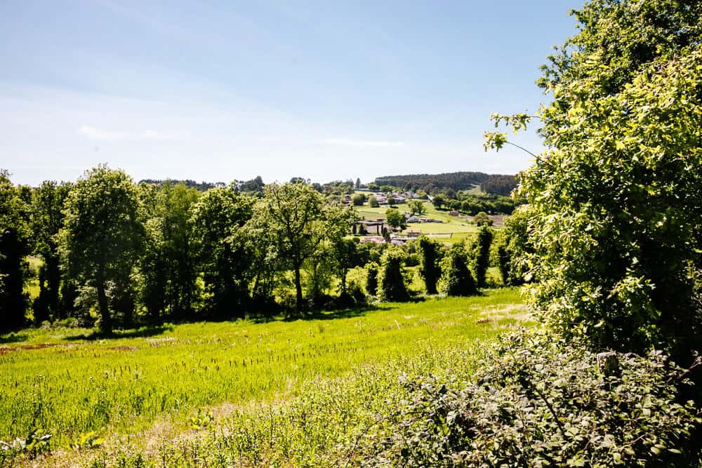 Once you leave the town of Sarria, you find ourselves in an environment where pine forests, meadows, and small villages with old stone houses alternate. 