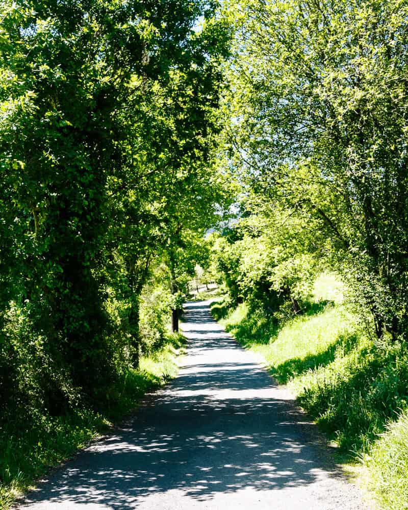 Walking to Santiago de Compostela is a perfect way to distance yourself from everyday life, find yourself, and most importantly, make a unique centuries-old journey.