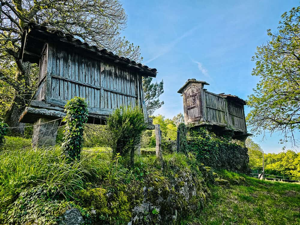 Camino de Santiago route: Discover the last 100 km to Santiago de Compostela of the Camino Frances, including a day-to-day description.