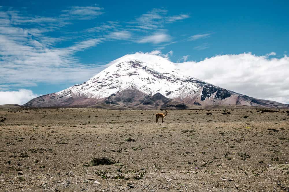 Chimborazo vulkaan Ecuador – alles wat je wilt weten!