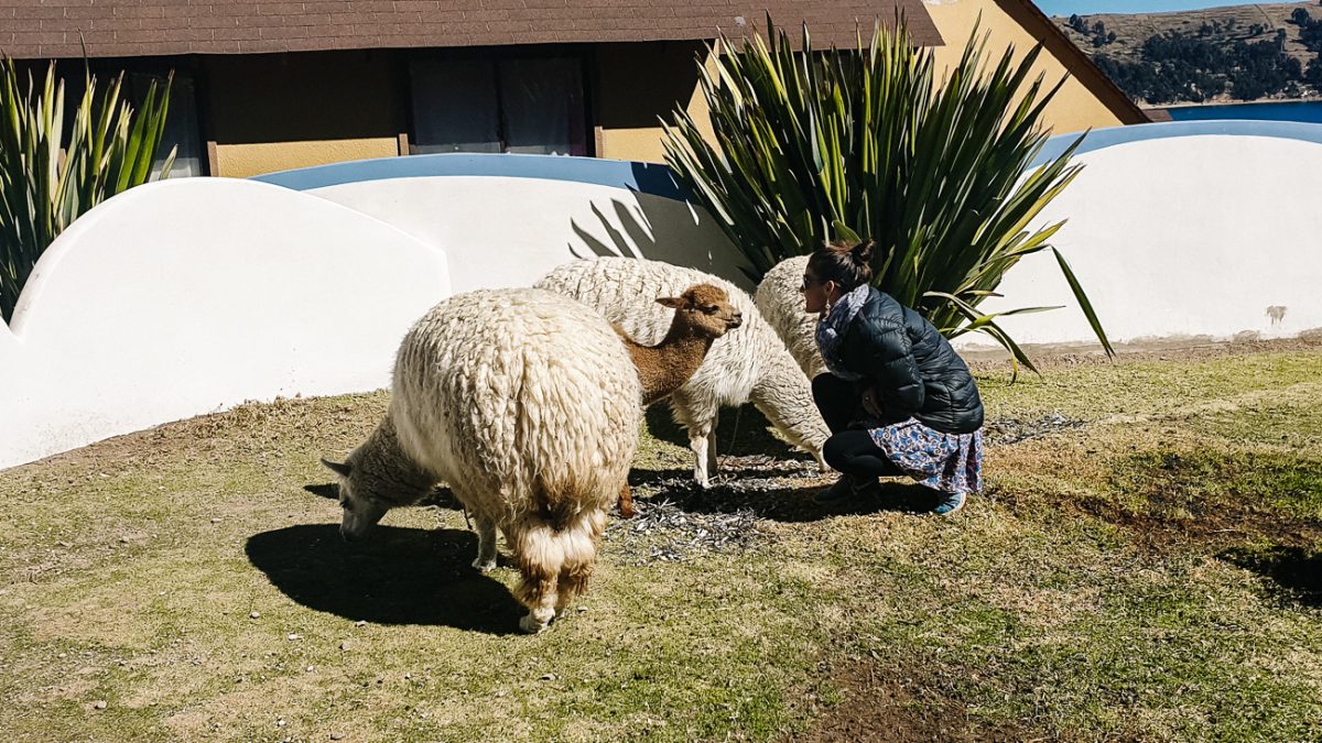 the garden of hotel La Cupula