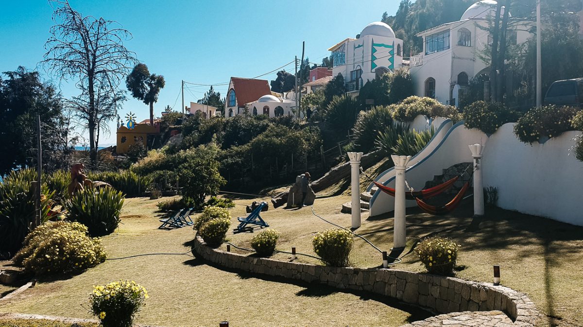 alpacas in the garden of La cupula in Copacabana bolivia