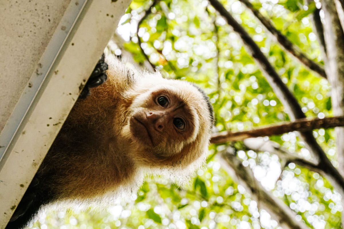 Costa Rica