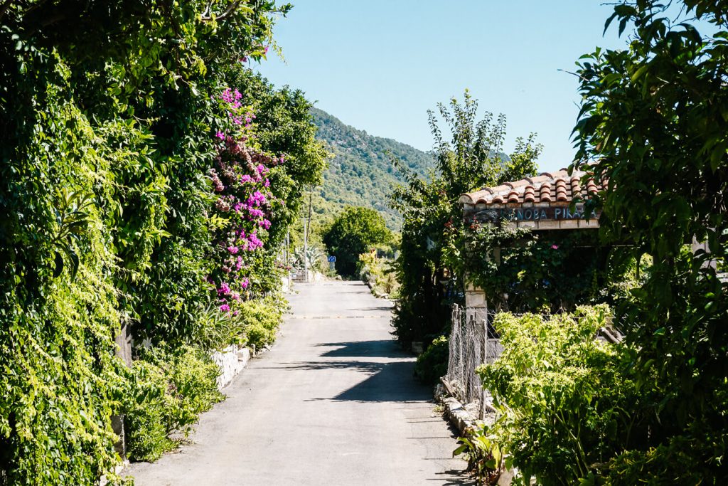 Mljet National Park at the Dalmatian coast of Croatia