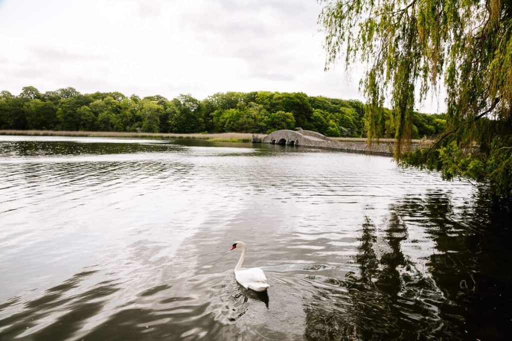 Lake around Gavnø Slot, a beautiful rococo castle from the 12th century that immerses you in the history of the former inhabitants, one of the cultural things to do in South Zealand Denmark.