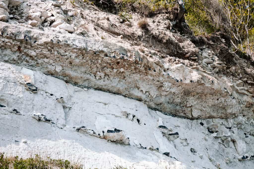 Stevns Klint is renowned for its traces of the meteorite that crashed on Earth 65 million years ago, resulting in the extinction of over half of all animal species, including dinosaurs. 