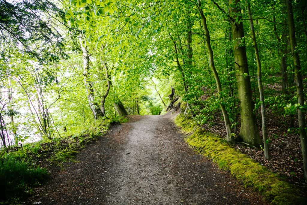 One of the hikes you can take in Lillebaelt Nature Reserve is the Lillebaeltsti, a 12-kilometer trail along the coast. 