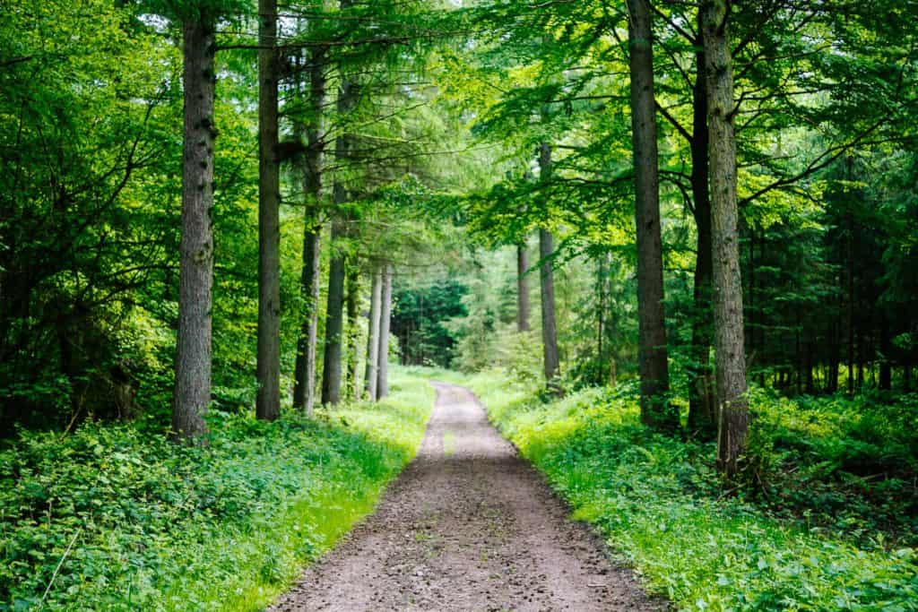 The Øhavstien, or the Archipelago trail is with 220 kilometers of trails, the longest hiking trail in Denmark. 