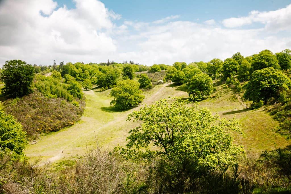 One of the best things to do in Fyn in Denmark is to hike a part of the Øhavstien, or the Archipelago trail. With 220 kilometers of hiking trails, it is the longest hiking trail in Denmark.