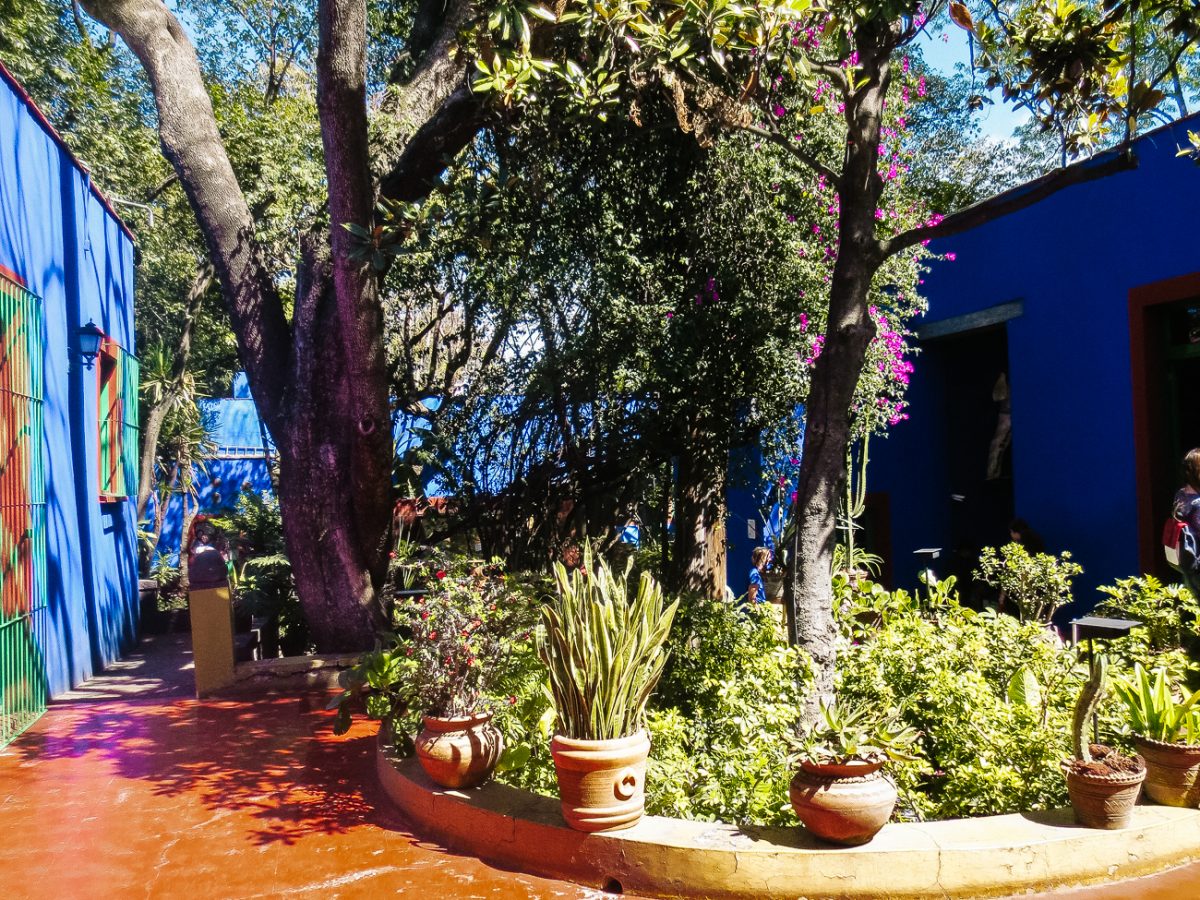 Courtyard in Mexico City.