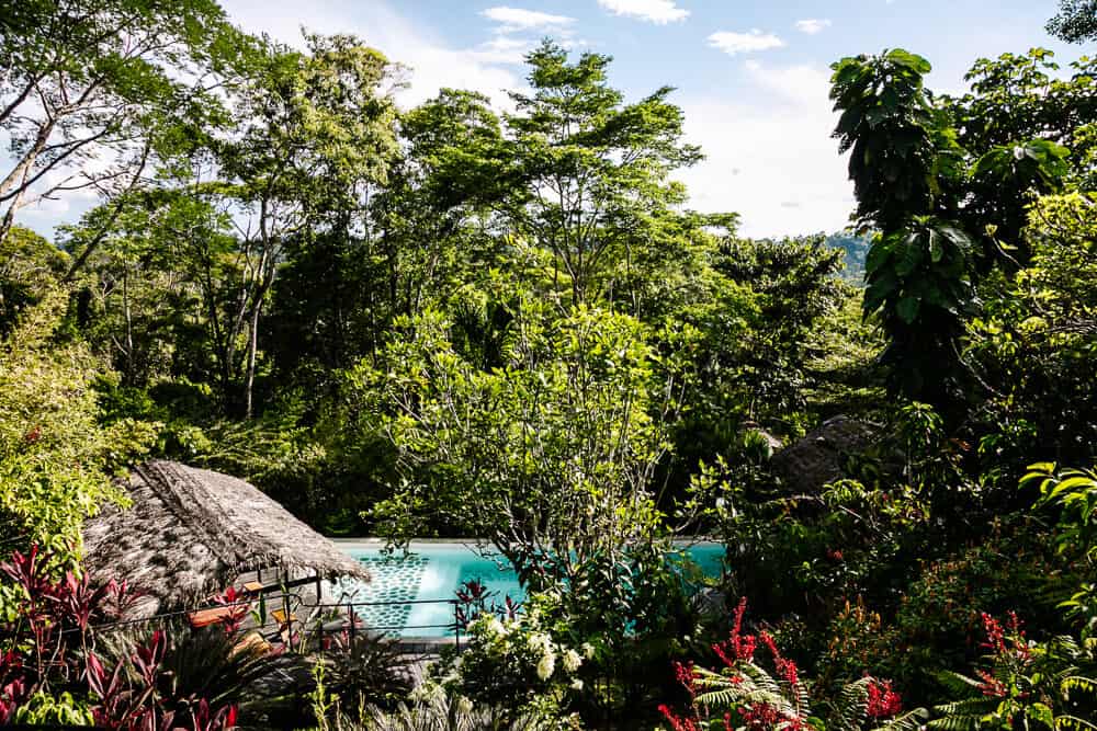 Discover Hamadryade Lodge in the Amazon of Ecuador!