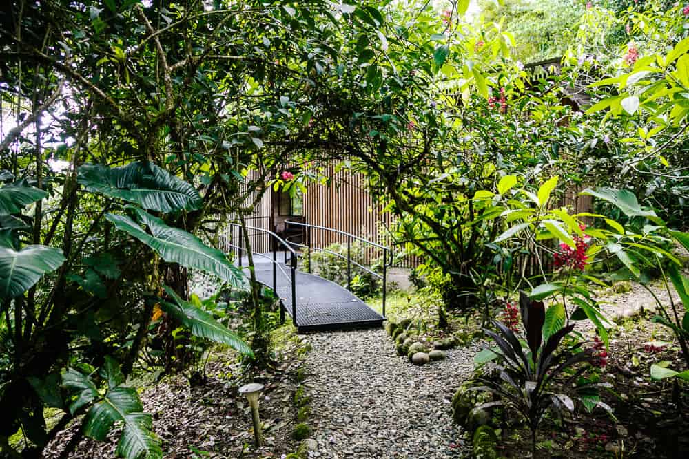 Bungalows in Hamadryade Lodge Ecuador.