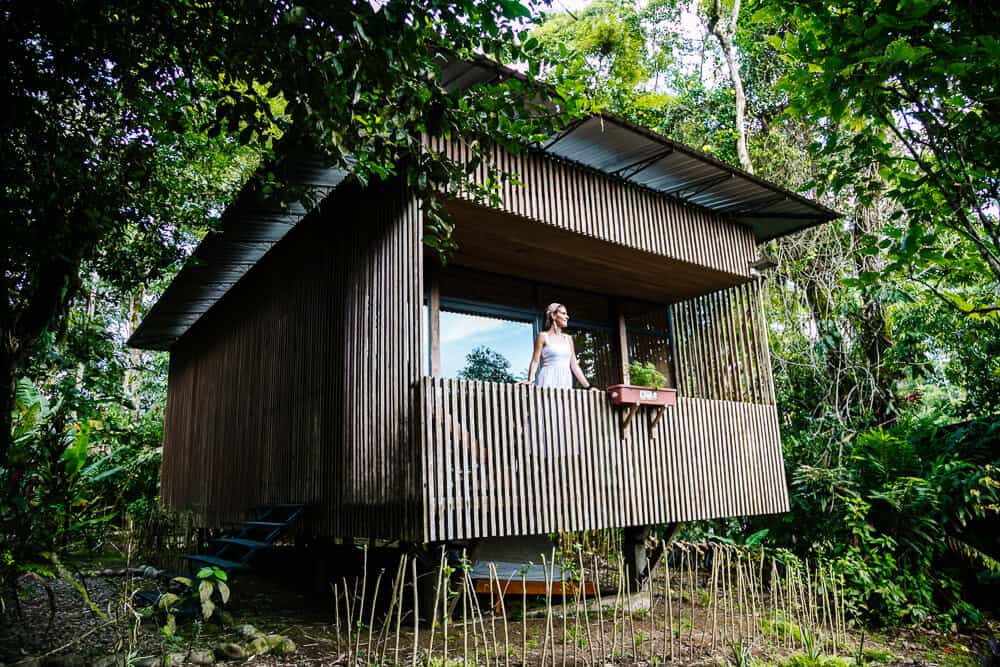 Room in Hamadryade Lodge, one of  best jungle lodges and boutique hotels, located near the village of Rio Napo in Ecuador.