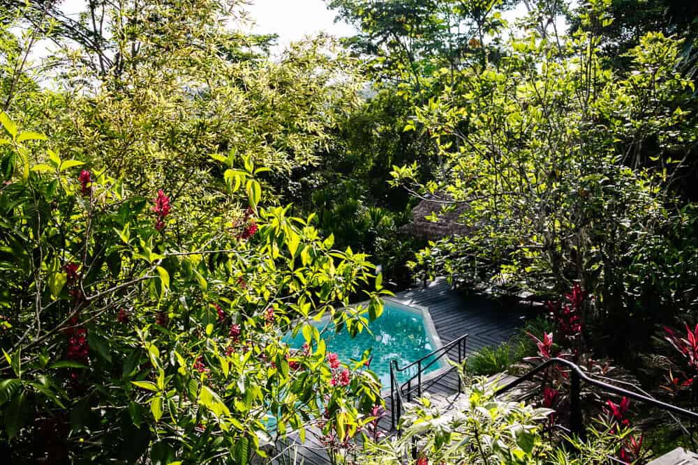 Discover Hamadryade Lodge is one of  best jungle lodges and boutique hotels, located near the village of Rio Napo in Ecuador.