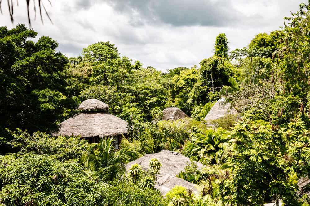 La Selva Jungle Lodge is located in the Amazon of Ecuador.