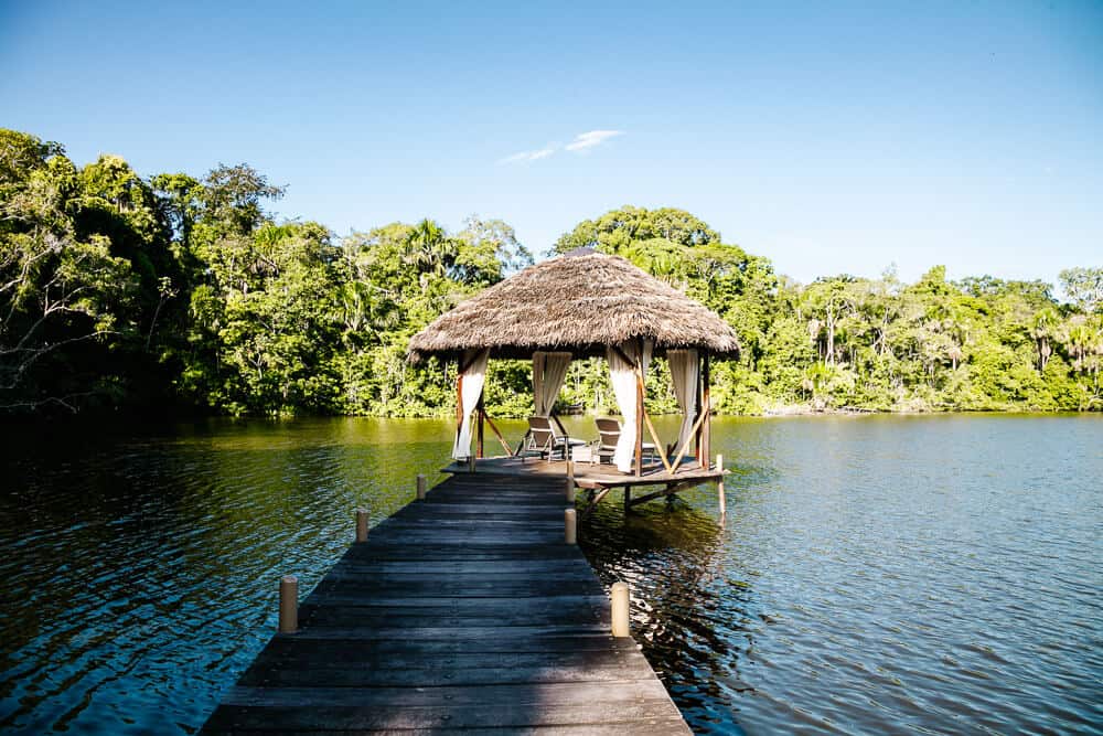 La Selva Jungle Lodge is located at the Laguna Garzacocha in the Amazon of Ecuador.