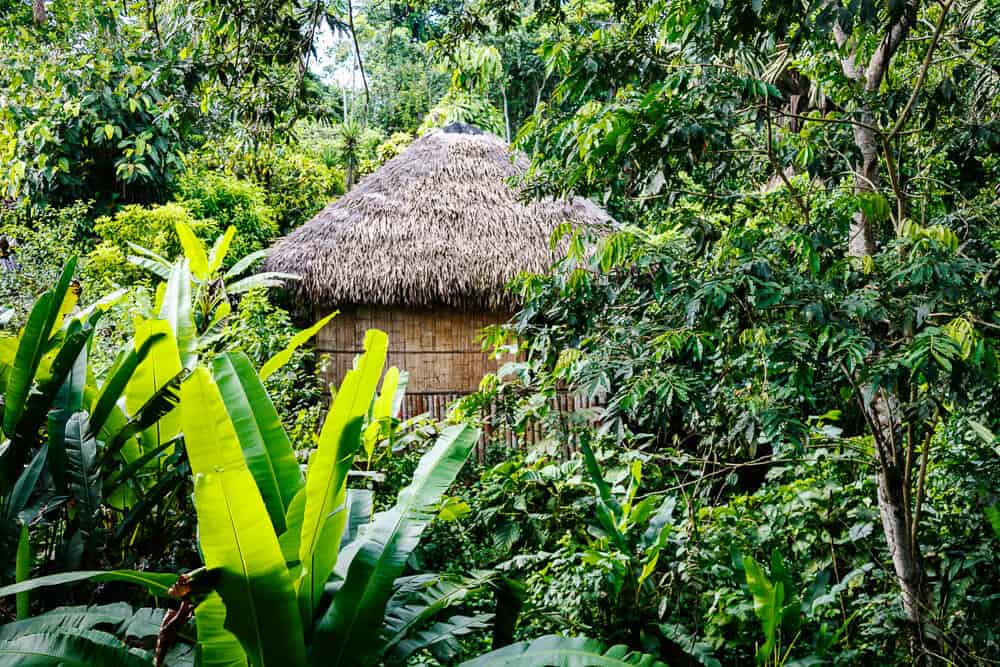 Bungalow of La Selva Jungle Lodge in the Amazon of Ecuador.