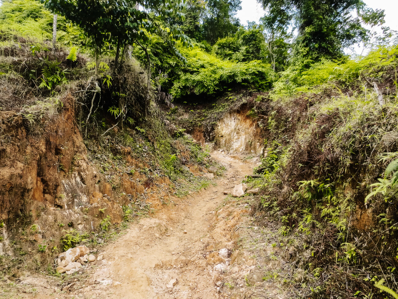 trails during Ciudad Perdia hike