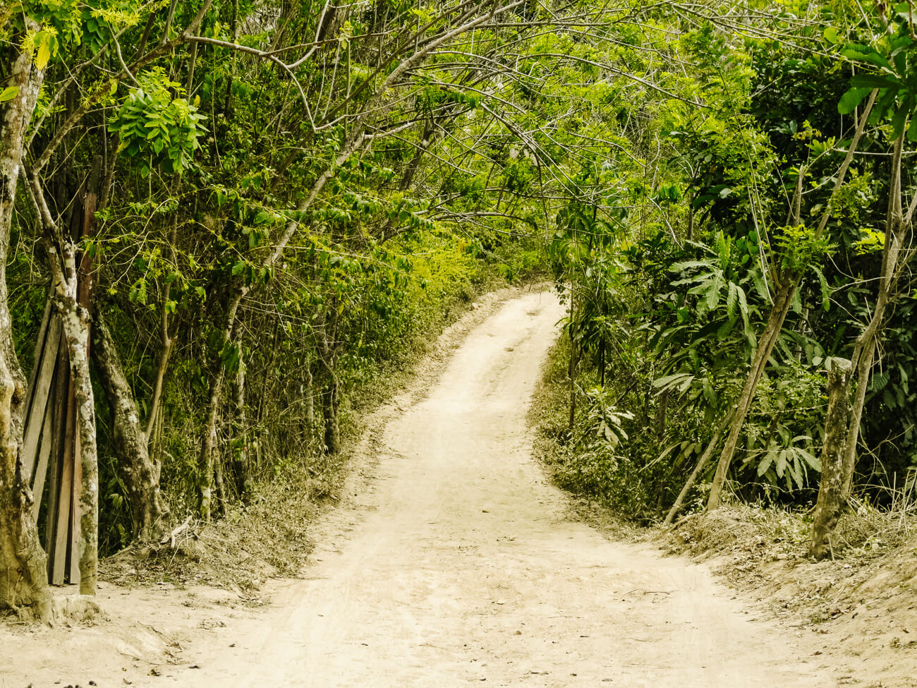 first part of la Ciudad perdida hike