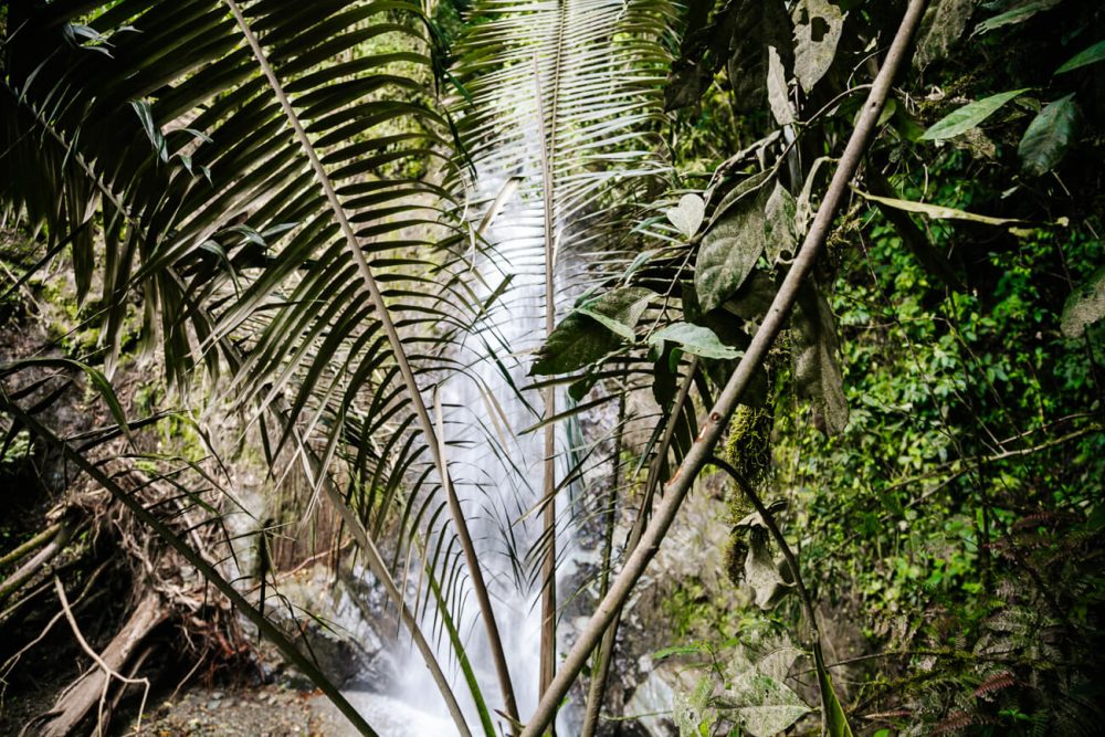 view of waterfall around cocora valley
